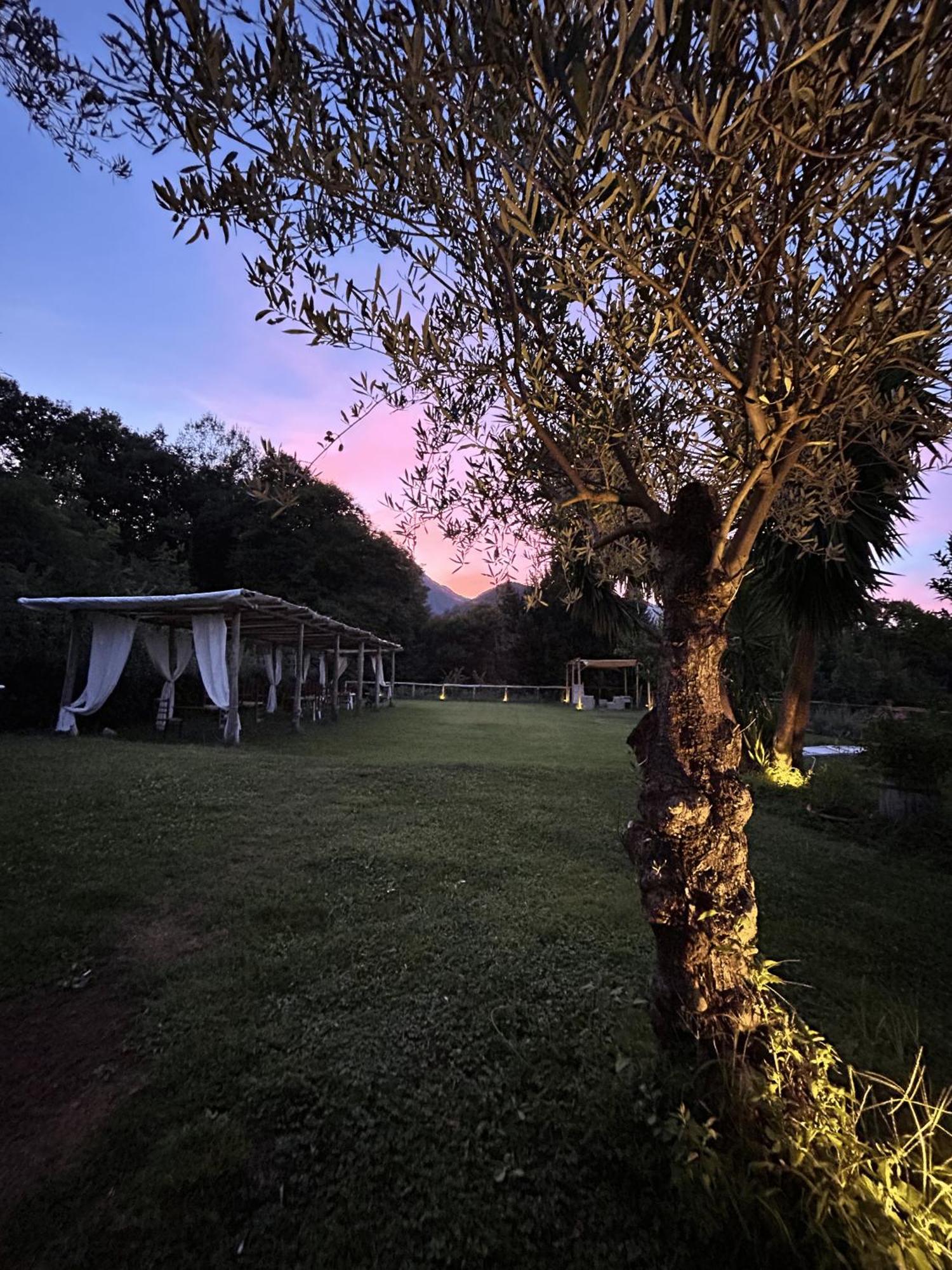 Agriturismo Colle Maiano Vietri Extérieur photo